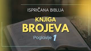 Knjiga Brojeva: Popisivanje naroda Izrae