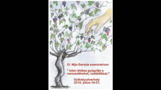 Obiteljsko stablo: Put ozdravljenja i oslobođenja po Mijo Ba