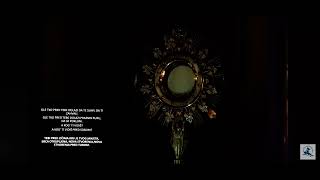 Pred Očima Krv Janjeta: Klanjanje u Presvetom Oltarskom Sakr